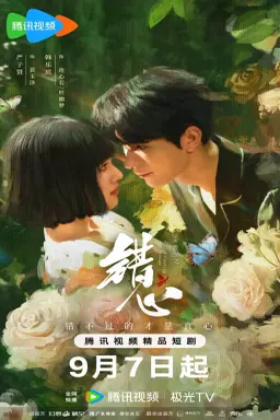 A Fleeting Dream با زیرنویس فارسی