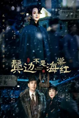 Winter Begonia با زیرنویس فارسی