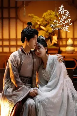 My Destined Consort با زیرنویس فارسی