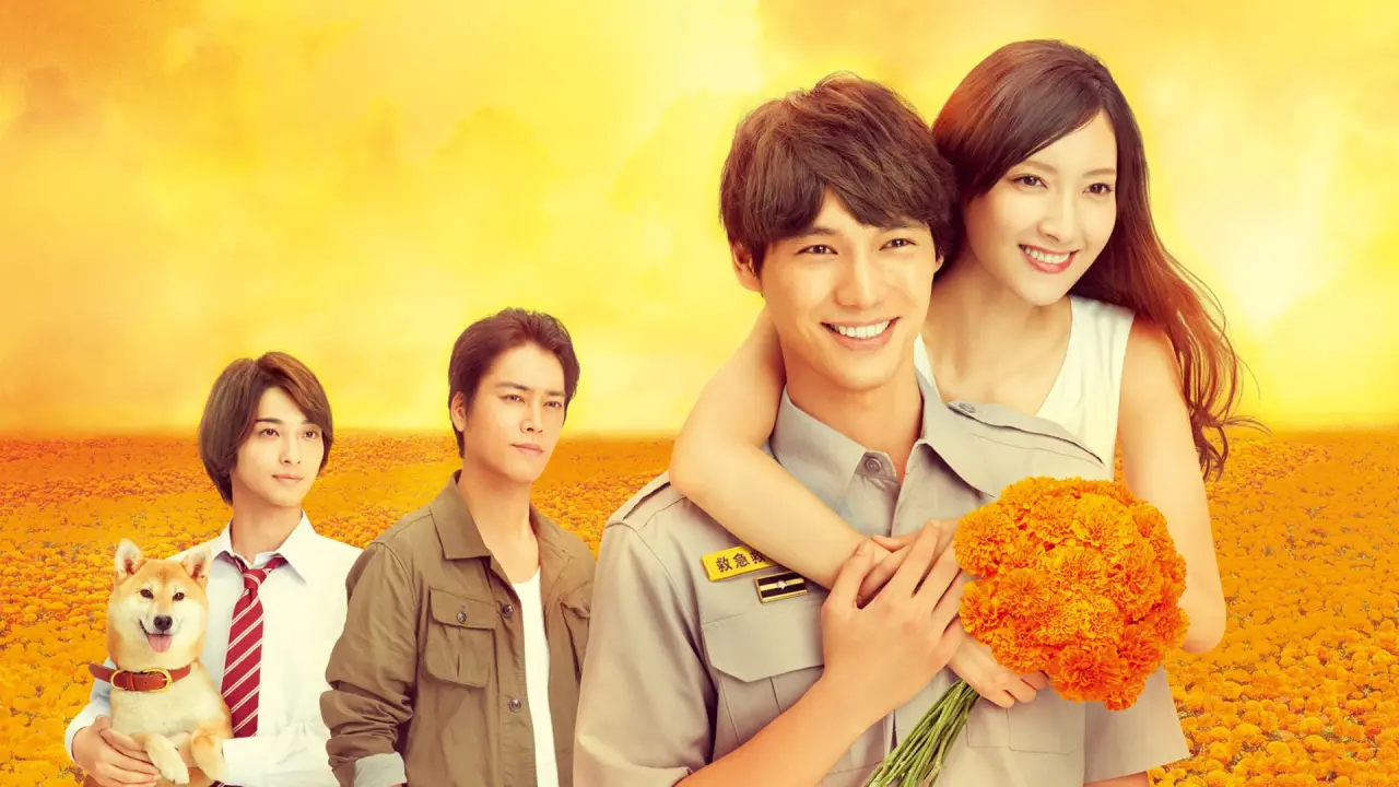 گل همیشه بهار 4 دقیقه‌ای با زیرنویس فارسی