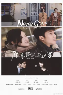 Never Gone با زیرنویس فارسی