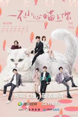 Accidentally Meow on You با زیرنویس فارسی