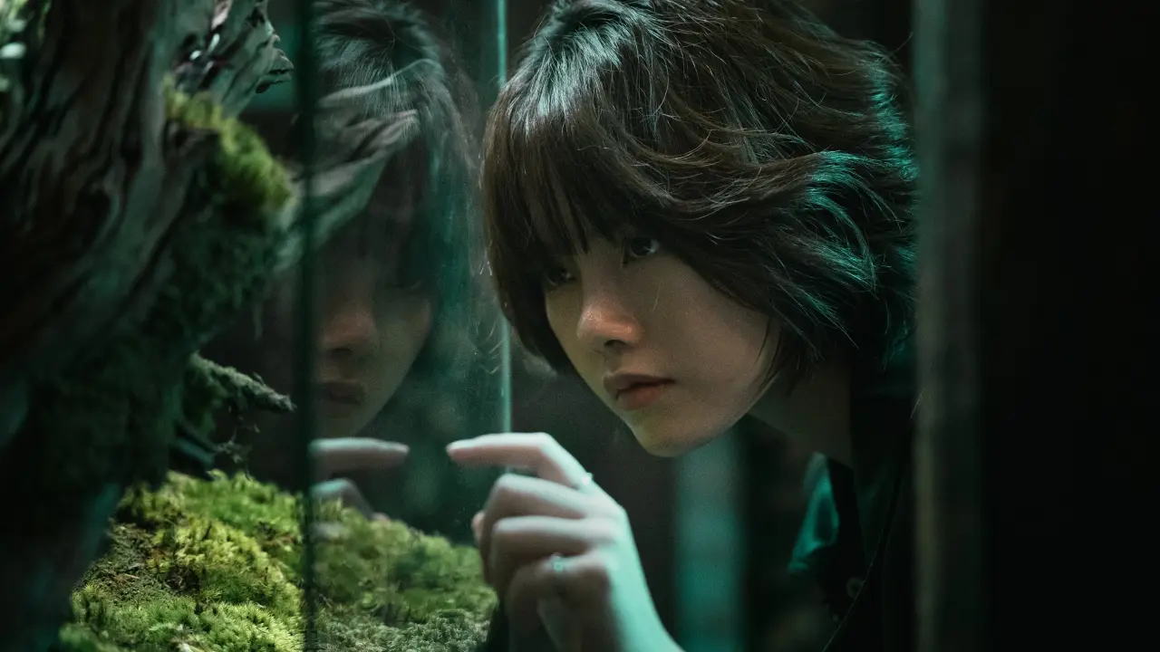 دالا: مرگ و گل‌ها با زیرنویس فارسی