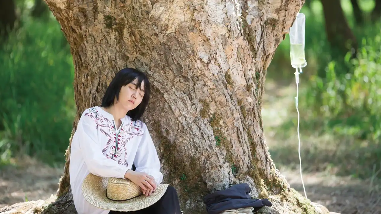 باغ شیشه‌ ای با زیرنویس فارسی