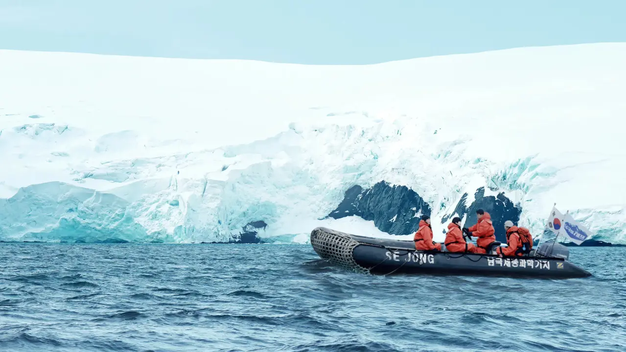 آشپز قطب جنوب با زیرنویس فارسی