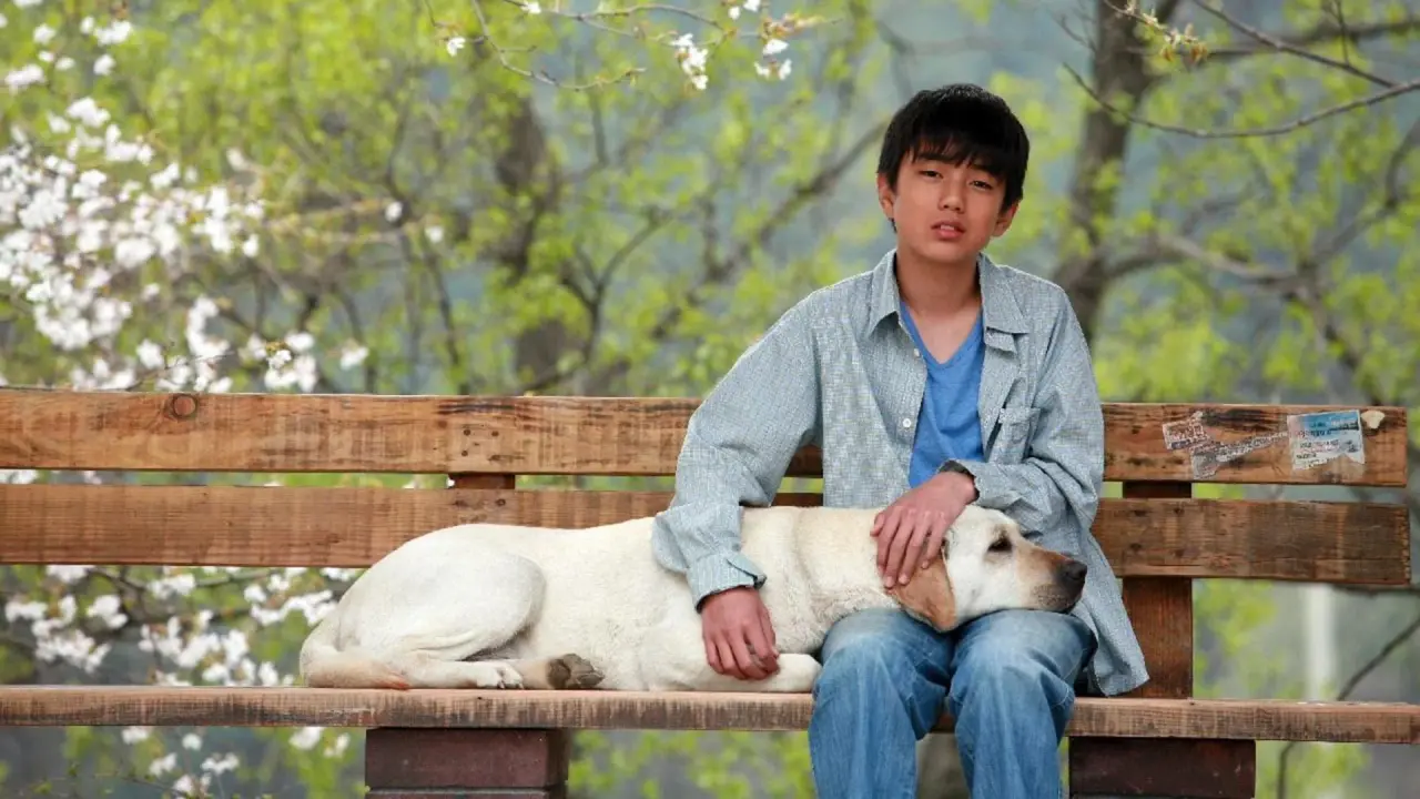 پنجه های قلبی با زیرنویس فارسی